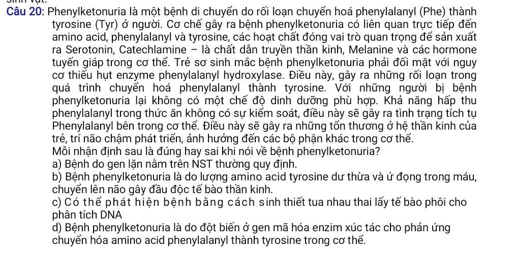 Phenylketonuria là một bệnh di chuyển do rối loạn chuyển hoá phenylalanyl (Phe) thành
tyrosine (Tyr) ở người. Cơ chế gây ra bệnh phenylketonuria có liên quan trực tiếp đến
amino acid, phenylalanyl và tyrosine, các hoạt chất đóng vai trò quan trọng để sản xuất
ra Serotonin, Catechlamine - là chất dẫn truyền thần kinh, Melanine và các hormone
tuyến giáp trong cơ thể. Trẻ sơ sinh mắc bệnh phenylketonuria phải đối mặt với nguy
cơ thiếu hụt enzyme phenylalanyl hydroxylase. Điều này, gây ra những rối loạn trong
quá trình chuyển hoá phenylalanyl thành tyrosine. Với những người bị bệnh
phenylketonuria lại không có một chế độ dinh dưỡng phù hợp. Khả năng hấp thu
phenylalanyl trong thức ăn không có sự kiểm soát, điều này sẽ gây ra tình trạng tích tụ
Phenylalanyl bên trong cơ thể. Điều này sẽ gây ra những tổn thương ở hệ thần kinh của
trẻ, trí não chậm phát triển, ảnh hưởng đến các bộ phận khác trong cơ thể.
Mỗi nhận định sau là đúng hay sai khi nói về bệnh phenylketonuria?
a) Bệnh do gen lặn nằm trên NST thường quy định.
b) Bệnh phenylketonuria là do lượng amino acid tyrosine dư thừa và ứ đọng trong máu,
chuyển lên não gây đầu độc tế bào thần kinh.
c) Có thể phát hiện bệnh bằng cách sinh thiết tua nhau thai lấy tế bào phôi cho
phân tích DNA
d) Bệnh phenylketonuria là do đột biến ở gen mã hóa enzim xúc tác cho phản ứng
chuyển hóa amino acid phenylalanyl thành tyrosine trong cơ thể.