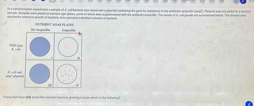 In a transformation experiment, a sample of E col/bacteria was mixed with a plasmid containing the gene for resistance to the antibiotic ampicillin (amp). Plasmid was not added to a second 
sample. Samples were plated on nutrient agar plates, some of which were supplemented with the antibiotic ampicillin. The results of £ coll growth are summarized below. The shaded area 
represents extensive growth of bacteria; dots represent individual colonies of bacteria. 
NUTRIENT AGAR PLATES 
E 
am 
Plates that have only ampicillin-resistant bacteria growing include which of the following?