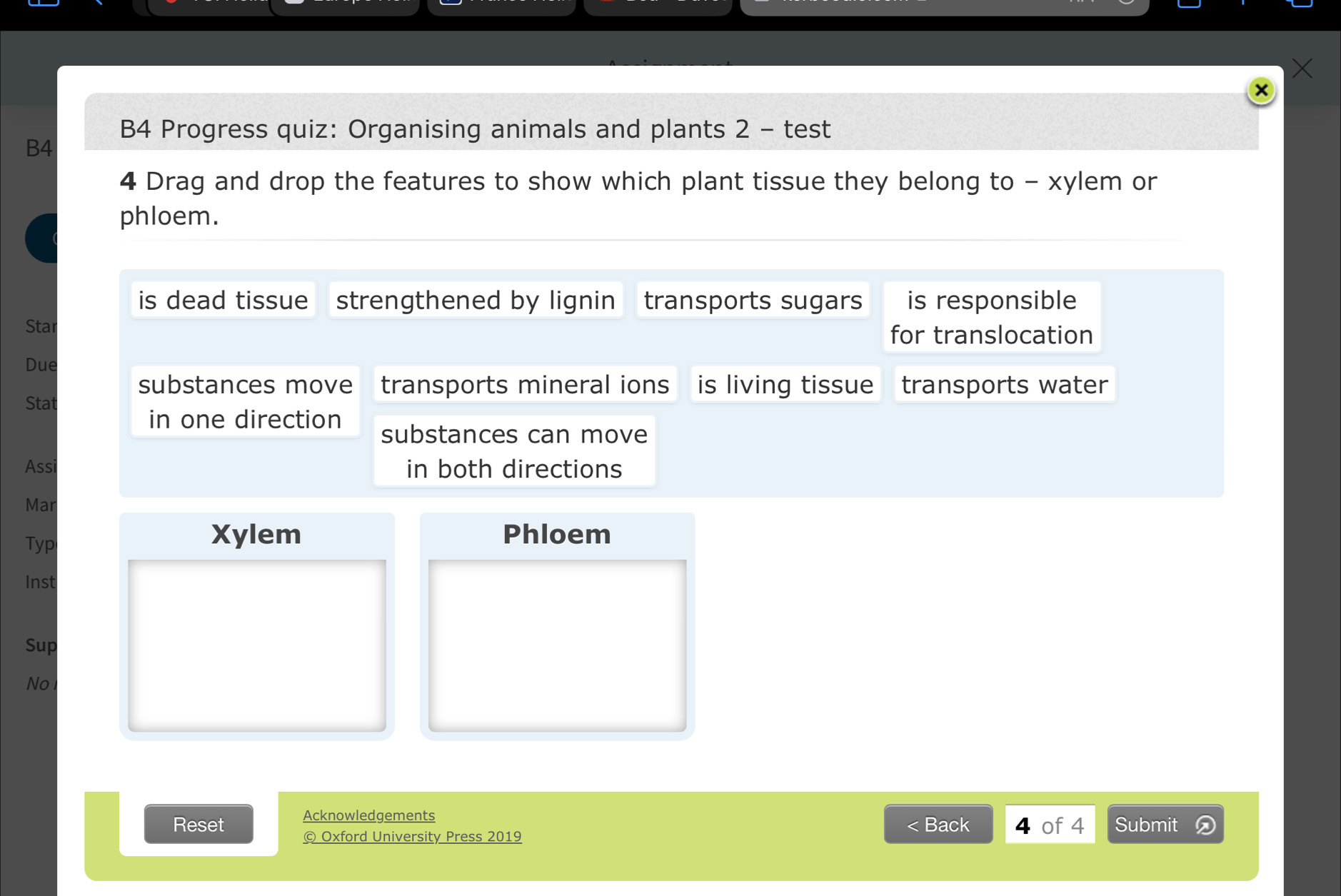 B4 Progress quiz: Organising animals and plants 2 - test
B4
4 Drag and drop the features to show which plant tissue they belong to - xylem or
phloem.
is dead tissue strengthened by lignin transports sugars is responsible
Star for translocation
Due
substances move transports mineral ions is living tissue a transports water
Stat
in one direction substances can move
Assi in both directions
Mar
Typ
Xylem Phloem
Inst
Sup
No
Acknowledgements
Reset < Back 4 of 4 Submit
© Oxford University Press 2019