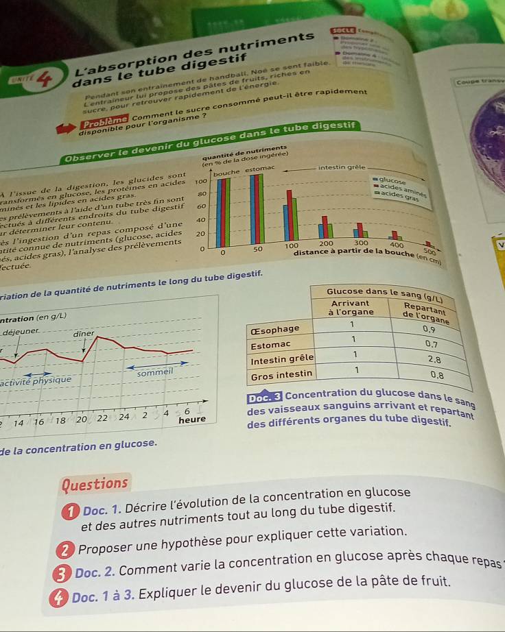 SOCLI 
L'absorption des nutriments 
4 dans le tube digestif 
Pendant son entraînement de handball, Noé se sent faible. 
L'entraîneur lui propose des pâtes de fruits, riches en 
sucre, pour retrouver rapidement de l'énergie. 
Coupe trans 
Propieme, Comment le sucre consommé peut-il être rapidement 
disponible pour l'organisme ? 
Observer le devenir du glucose dans le tube digestif 
s 
À l'issue de la digestion, les glucides so 
ransformés en glucose, les protéines en acid 
minés et les lipides en acides gras. 
es prélèvements à l'aide d'un tube très fin son 
ectués à différents endroits du tube digest 
ir déterminer leur contenu. 
les l'ingestion d'un repas composé d'un 
atité connue de nutriments (glucose, acide 
aés, acides gras), l'analyse des prélèvement 

fectuée 
riation de la quantité de nutriments le long du tubedigestif. 
Intration (en g/L) 
déjeuner 
activité physique 
Docé s Concentratose dans le sanq 
des vaisseaux sanguins arrivant et repartant 
des différents organes du tube digestif. 
de la concentration en glucose. 
Questions 
1 Doc. 1. Décrire l'évolution de la concentration en glucose 
et des autres nutriments tout au long du tube digestif. 
2 Proposer une hypothèse pour expliquer cette variation. 
3 Doc. 2. Comment varie la concentration en glucose après chaque repas 
* Doc. 1 à 3. Expliquer le devenir du glucose de la pâte de fruit.