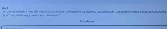 Cho dãy các dung dịch riêng biệt chứa các chất: aniline (1), methylamine (2), glycine (3), glutamic acid (4), 2, 6 -diaminohexanoic acid (5), H_2NOH_2 COONa 
(6). Số dung địch làm quỷ tím hoà xanh là bao nhiêu? 
Nhập đáp án