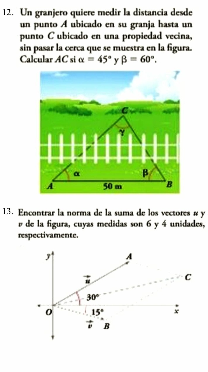 Un granjero quiere medir la distancia desde 
un punto A ubicado en su granja hasta un 
punto C ubicado en una propiedad vecina, 
sin pasar la cerca que se muestra en la figura. 
Calcular AC si alpha =45° beta =60°. 
13. Encontrar la norma de la suma de los vectores # y
vde la figura, cuyas medidas son 6 y 4 unidades, 
respectivamente.
y
A
vector u
C
30°
0
15°
x
v B