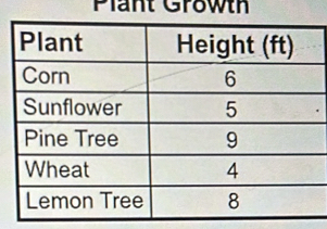 Plant Growth