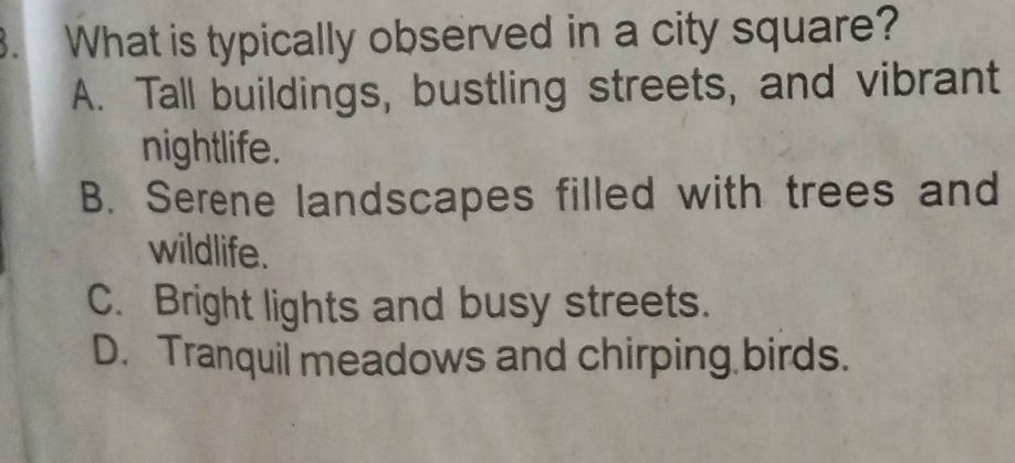 What is typically observed in a city square?
A. Tall buildings, bustling streets, and vibrant
nightlife.
B. Serene landscapes filled with trees and
wildlife.
C. Bright lights and busy streets.
D. Tranquil meadows and chirping birds.