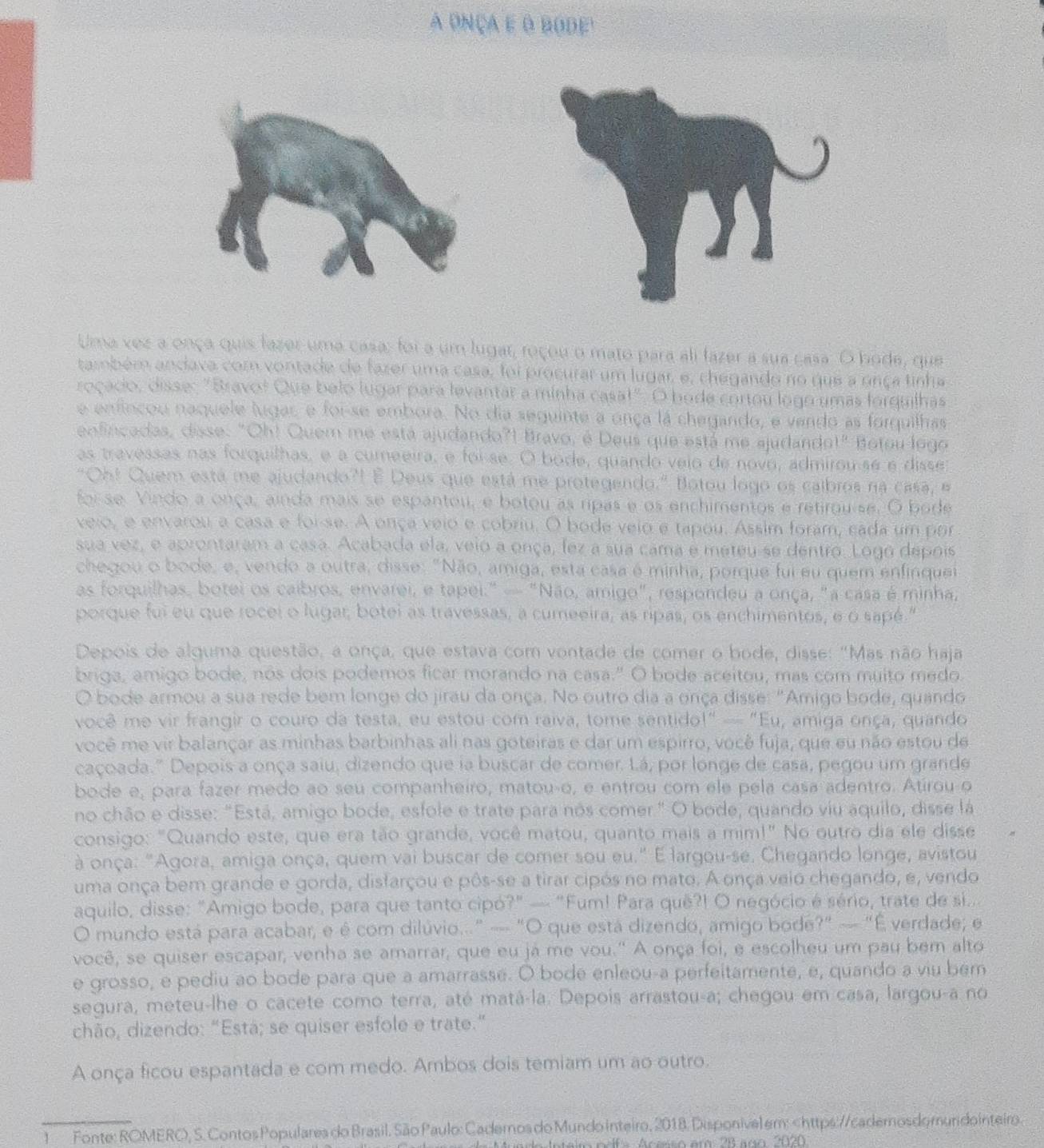 A onça e o bode'
Uma vez a onça quis fazer uma casa: foi a um lugar, roçou o mato para ali fazer a sua casa. O hode, que
também andava com vontade de fazer uma casa, foi procurar um lugar, e, chegando no que a unça tinha
roçacio, disse: "Bravof Que belo lugar para levantar a minha casa!" O bode cortou logo umas forguilhas
e enfincou naquele lugas e foi-se embora. No dia seguinte a onça lá chegando, e vendo as forquilhas
enfincadas, disse: "Oh! Quem me está ajudando?! Bravo, é Deus que está me ajudando!" Botou logo
as travessas nas forquilhas, é a cumeeira, é foi se. O bode, quando veio de novo, admirou se é disse
"Oh! Quem está me ajudando?! É Deus que está me protegendo." Botou logo os calbros na casa, e
foi se. Vindo a onça, ainda mais se espantou, e botou as ripas e os enchimentos e retirouise. O bode
veio, e envarou a casa e foi-se. A onça veio e cobriu. O bode veio e tapou. Assim foram, sada um por
sua vez, e aprontaram a casa. Acabada ela, veio a onça, lez a sua cama e meteu se dentro. Logo depois
chegou o bode, e, vendo a outra, disse: "Não, amiga, esta casa é minha, porque fui eu quem enfinque
as forquilhas, botei os caibros, envarei, e tapei." — "Não, amigo", respondeu a onça, "a casa é minha,
porque fui eu que rocei o lugar, botei as travessas, a cumeeira, as ripas, os enchimentos, e o sapé."
Depois de alguma questão, a onça, que estava com vontade de comer o bode, disse: "Mas não haja
briga, amigo bode, nos dois podemos ficar morando na casa." O bode aceitou, mas com muito medo.
O bode armou a sua rede bem longe do jirau da onça. No outro dia a onça disse: "Amigo bode, quando
você me vir frangir o couro da testa, eu estou com raiva, tome sentido!" — "Eu, amiga onça, quando
você me vir balançar as minhas barbinhas ali nas goteiras e dar um espirro, você fuja, que eu não estou de
caçoada." Depois a onça saiu, dizendo que ia buscar de comer. Lá, por longe de casa, pegou um grande
bode e, para fazer medo ao seu companheiro, matou-o, e entrou com ele pela casa adentro. Atirou o
no chão e disse: "Está, amigo bode, esfole e trate para nos comer." O bode, quando viu aquilo, disse lá
consigo: "Quando este, que era tão grande, você matou, quanto mais a mim!" No outro dia ele disse
à onça: "Agora, amiga onça, quem vai buscar de comer sou eu." E largou-se. Chegando longe, avistou
uma onça bem grande e gorda, disfarçou e pôs-se a tirar cipós no mato. A onça veio chegando, e, vendo
aquilo, disse: "Amigo bode, para que tanto cipó?" — "Fum! Para quê?! O negócio é sério, trate de si..
O mundo está para acabar, e é com dilúvio...” — "O que está dizendo, amigo bode?" — "É verdade; e
você, se quiser escapar, venha se amarrar, que eu já me vou.' A onça foi, e escolheu um pau bem alto
e grosso, e pediu ao bode para que a amarrasse. O bode enleou-a perfeitamente, e, quando a viu bem
segura, meteu-lhe o cacete como terra, até matá-la. Depois arrastou-a; chegou em casa, largou-a no
chão, dizendo: "Está; se quiser esfole e trate.”
A onça ficou espantada e com medo. Ambos dois temiam um ao outro.
_1 Fonte: ROMERO, S. Contos Populares do Brasil. São Paulo: Cadernos do Mundo inteiro, 2018. Disponivel em: