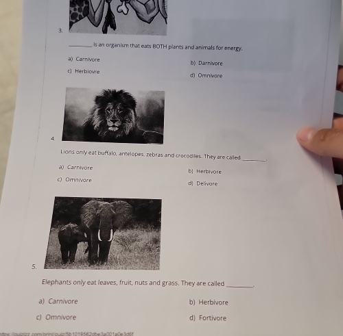 is an organism that eats BOTH pilants and animals for energy.
a) Carnivore b) Darnivore
c) Herbiovre d) Omnivore
4.
Lions only eat buffalo, antelopes, zebras and crecodiles. They are called
_
a) Carnivore b] Herbivore
c) Omnivore d) Delivare
5
Elephants only eat leaves, fruit, nuts and grass. They are called _.
a) Carnivore b) Herbivore
c) Omnivore d) Fortivore