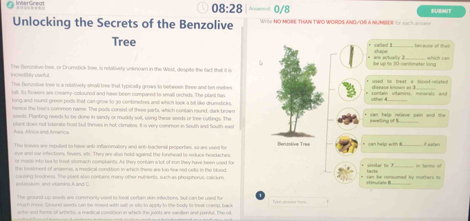 08:28 
InterGreat Answered; 0/8 SUBMIT 
Unlocking the Secrets of the Benzolive Write NO MORE THAN TWO WORDS AND/OR A NUMBER for each answer 
Tree called 1. shape _because of their 
be up to 30-centimeter long are actually 2 which can 
The Benzolive tree, or Drumstick tree, is relatively unknown in the West, despite the fact that it is 
incredibly useful. used to treat a blood-related 
The Benzolive tree is a relatively small tree that typically grows to between three and ten metres disease known as 3
tall. Its flowers are creamy-coloured and have been compared to small orchids. The plant has contain vitamins, minerals and 
long and round green pods that can grow to 30 centimetres and which look a bit like drumsticks. other 4 _ 
hence the tree's common name. The pods consist of three parts, which contain round, dark brown can help relieve pain and the 
seeds. Planting needs to be done in sandy or muddy soil, using these seeds or tree cuttings. The 
plant does not tolerate frost but thrives in hot climates. It is very common in South and South-east swelling of 5 _ 
Asia, Africa and America _if eaten 
The leaves are reputed to have anti-inflammatory and anti-bacterial properties, so are used for Benzolive Tree " can h e o w ith 
eye and ear infections, fevers, etc. They are also held against the forehead to reduce headaches 
or made into tea to treat stomach complaints. As they contain a lot of iron they have been used for similar to 7 in terms of 
the treatment of anaemia, a medical condition in which there are too few red cells in the blood, taiste 
causing tiredness. The plant also contains many other nutrients, such as phosphorus, calcium. can be consumed by mothers to 
potassium, and vilamins A and C stimulate 8
The ground-up seeds are commonly used to treat certain skin infections, but can be used for 1 
much more. Ground seeds can be mixed with salt or oils to apply to the body to treat cramp, back Type answer here. 
ache and forms of arthritis, a medical condition in which the joints are swollen and painful. The oil