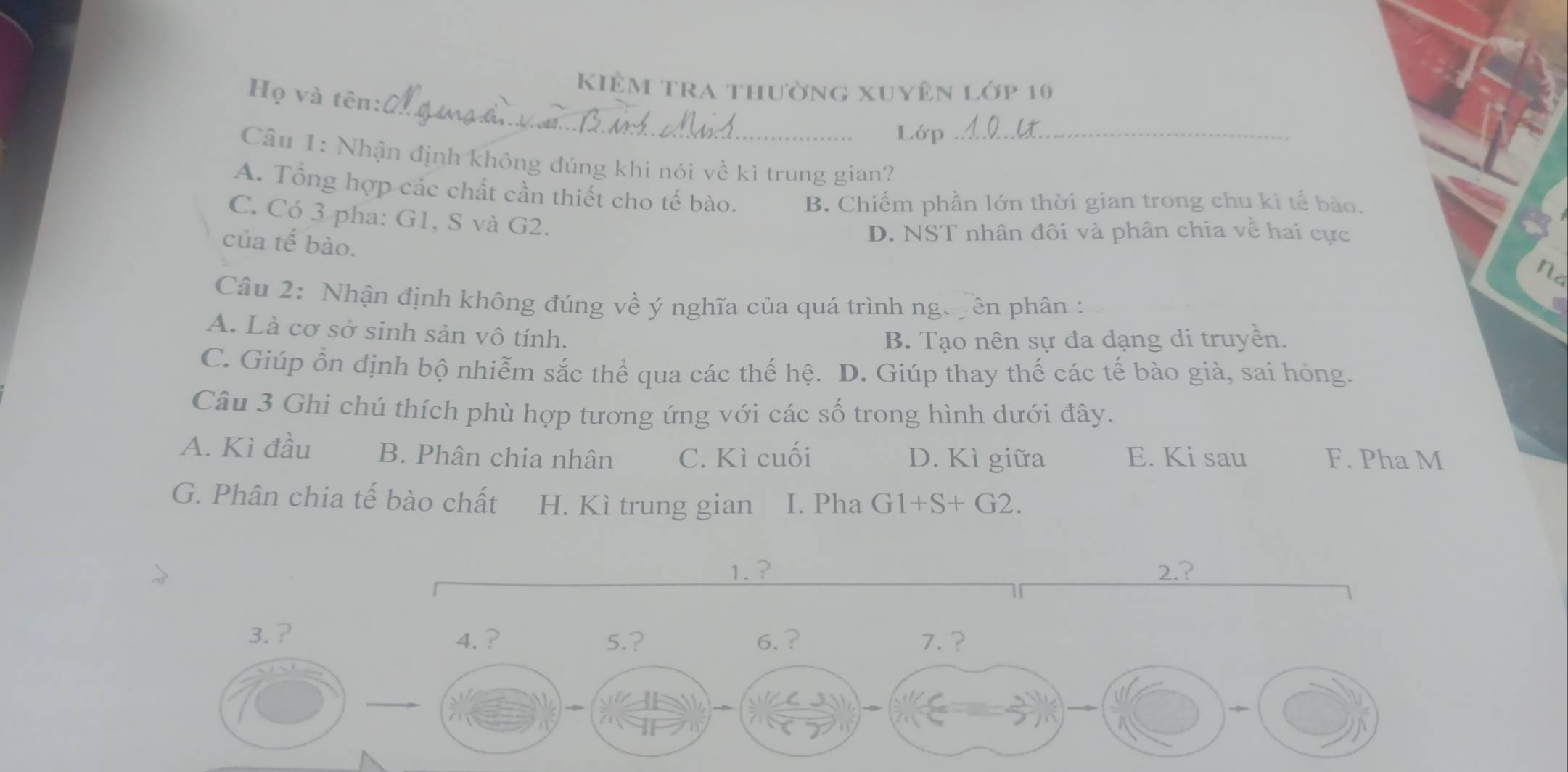 kiệm tra thường xuyên lớp 10
Họ và tên:
Lớp
Cầu 1: Nhận định không đúng khi nói về kì trung gian?_
A. Tổng hợp các chất cần thiết cho tế bào. B. Chiếm phần lớn thời gian trong chu ki tế bào.
C. Có 3 pha: G1, S và G2.
của tế bào.
D. NST nhân đôi và phân chia về hai cực
na
Câu 2: Nhận định không đúng về ý nghĩa của quá trình ngu yên phân :
A. Là cơ sở sinh sản vô tính.
B. Tạo nên sự đa dạng di truyền.
C. Giúp ổn định bộ nhiễm sắc thể qua các thế hệ. D. Giúp thay thế các tế bào già, sai hỏng.
Câu 3 Ghi chú thích phù hợp tương ứng với các số trong hình dưới đây.
A. Kì đầu B. Phân chia nhân C. Kì cuối D. Kì giữa E. Ki sau F. Pha M
G. Phân chia tế bào chất H. Kì trung gian I. Pha G1+S+G2.