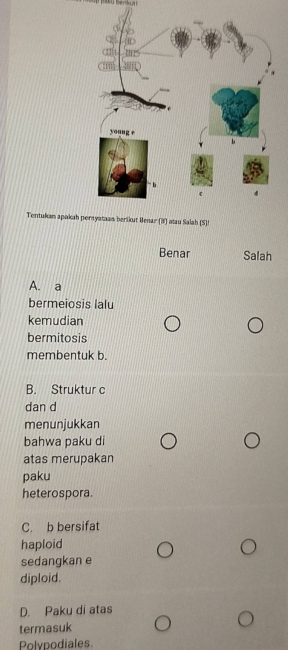 aku berikut !
Tentukan apakah pernyataan berikut Benar (B) atau Salah (S)!
Benar Salah
A. a
bermeiosis lalu
kemudian
bermitosis
membentuk b.
B. Struktur c
dan d
menunjukkan
bahwa paku di
atas merupakan
paku
heterospora.
C. b bersifat
haploid
sedangkan e
diploid.
D. Paku di atas
termasuk
Polypodiales