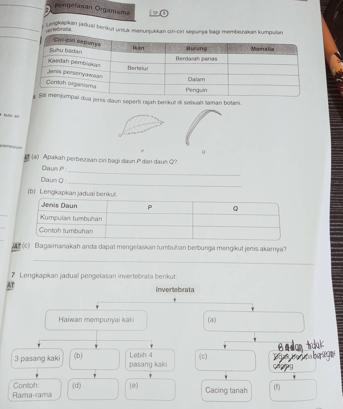 Pengelasan Organisma TP 5 
2 
_Lengkapkan jadual berikut untuk menunjukkan ciri 
vertebrata. 
enis daun seperti rajah berikut di sebuah taman botani. 
kutu air 
aramesium
P
Q
AT (a) Apakah perbezaan ciri bagi daun P dan daun Q? 
_ 
Daun P : 
Daun Q :_ 
(b) Lengkapkan jadual berikut. 
AT (c) Bagaimanakah anda dapat mengelaskan tumbuhan berbunga mengikut jenis akarnya? 
7 Lengkapkan jadual pengelasan invertebrata berikut: 
AT 
Invertebrata 
Haiwan mempunyai kaki (a) 
3 pasang kaki (b) Lebih 4
(c) 
pasang kaki 
Contoh: (d) (e) (f) 
Rama-rama 
Cacing tanah