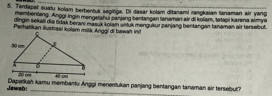 wad. 
5. Terdapat suatu kolam berbentuk segitiga. Di dasar kolam ditanami rangkaian tanaman air yang 
membentang. Anggi ingin mengetahui panjang bentangan tanaman air di kolam, tetapi karena airnya 
dingin sekali dia tidak berani masuk kolam untuk mengukur panjang bentangan tanaman air tersebut. 
Perhatikan ilustrasi kolam milik Anggi di bawah ini! 
Dapatkah kamu membantu Anggi menentukan panjang bentangan tanaman air tersebut? 
Jawab:_