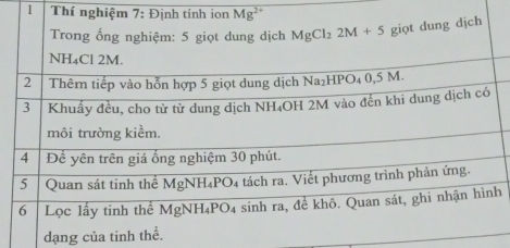 Thí nghi
h
dạng của tinh