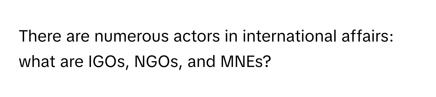 There are numerous actors in international affairs: what are IGOs, NGOs, and MNEs?