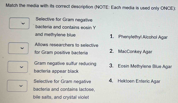 Match the media with its correct description (NOTE: Each media is used only ONCE):
Selective for Gram negative
bacteria and contains eosin Y
and methylene blue 1. Phenylethyl Alcohol Agar
Allows researchers to selective
for Gram positive bacteria 2. MacConkey Agar
Gram negative sulfur reducing 3. Eosin Methylene Blue Agar
v
bacteria appear black
Selective for Gram negative 4. Hektoen Enteric Agar
bacteria and contains lactose,
bile salts, and crystal violet