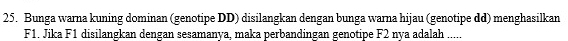 Bunga warna kuning dominan (genotipe DD) disilangkan dengan bunga warna hijau (genotipe dd) menghasilkan
F1. Jika F1 disilangkan dengan sesamanya, maka perbandingan genotipe F2 nya adalah .....