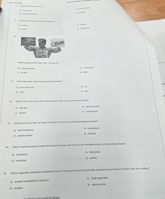 =acromplecules à Org===
t1/6V24, 8:07 Aht
8. All polymers are made up of....
b) higne of these
a monomers
d) proteina
monosæochandes
9. All organic compounds contain the element
a) carbon
b) nitrogen
c suffur
d) phasphorvs
10
tluilding blocks of the body, hair , muscles etc.
a) carbohydrates
b) nucleic acid
c) protein d) lipids
11. How many sugar units make up polysaccharides?
s ò
a) more than two b) two
c) zero d) one
12. What is the cell's outer barrier that regulates what enters and leaves the cell?
a) cell wall b) cell membrane
c) cytosol d) cytoskeleton
13. What is the outer layer of a plant cell which is made up of cellulose polysaccharides?
a) cell membrane b cytoskeleton
c) carbohydrates d) cell wall
14. Which membrane-bound organelle converts energy from the sun into chemical energy during photosynthesis?
a) ribosomes b) chloroplast
c) nucleolus d) cytosol
15. Which organelle resembles a flattened stack of membranes (kind of looks like pancakes) found next to the ER, near the nucleus?
a) smooth endoplasmic reticulum b) Golgi apparatus
c) nucleus d) mitochondria
9dff4fac571a5001d7492b0