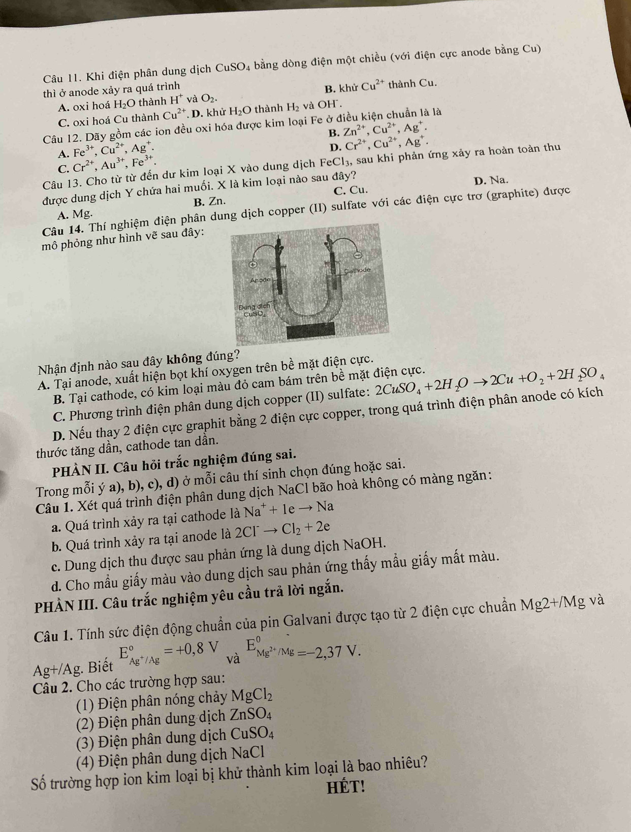 Khi điện phân dung dịch CuSO_4 bằng dòng điện một chiều (với điện cực anode bằng Cu)
thì ở anode xảy ra quá trình
A. oxi hoá H_2O thành H^+ và O_2. B. khử Cu^(2+) thành Cu.
C. oxi hoá Cu thành Cu^(2+) .D. khử H_2O thành H_2 và OH.
Câu 12. Dãy gồm các ion đều oxi hóa được kim loại Fe ở ở  là
B. Zn^(2+),Cu^(2+),Ag^+.
Fe^(3+),Cu^(2+),Ag^+.
D. Cr^(2+),Cu^(2+),Ag^+.
A. Cr^(2+),Au^(3+),Fe^(3+).
Câu 13. Cho từ từ đến dư kim loại X vào dung dịch FeCl₃, sau khi phản ứng xảy ra hoàn toàn thu
C.
C. Cu. D. Na.
được dung dịch Y chứa hai muối. X là kim loại nào sau đây?
A. Mg. B. Zn.
Câu 14. Thí nghiệm điện phân dung dịch copper (II) sulfate với các điện cực trơ (graphite) được
mô phỏng như hình vẽ sau đây:
Nhận định nào sau đây không đúng?
A. Tại anode, xuất hiện bọt khí oxygen trên bề mặt điện cực.
B. Tại cathode, có kim loại màu đỏ cam bám trên bề mặt điện cực.
C. Phương trình điện phân dung dịch copper (II) sulfate: 2CuSO_4+2H_2Oto 2Cu+O_2+2H_2SO_4
D. Nếu thay 2 điện cực graphit bằng 2 điện cực copper, trong quá trình điện phân anode có kích
thước tăng dần, cathode tan dần.
PHÀN II. Câu hỏi trắc nghiệm đúng sai.
Trong mỗi ý a), b), c), d) ở mỗi câu thí sinh chọn đúng hoặc sai.
Câu 1. Xét quá trình điện phân dung dịch NaCl bão hoà không có màng ngăn:
a. Quá trình xảy ra tại cathode là Na^++1eto Na
b. Quá trình xảy ra tại anode là 2Cl^-to Cl_2+2e
c. Dung dịch thu được sau phản ứng là dung dịch NaOH.
d. Cho mẫu giấy màu vào dung dịch sau phản ứng thấy mẫu giấy mất màu.
PHẢN III. Câu trắc nghiệm yêu cầu trả lời ngắn.
Câu 1. Tính sức điện động chuẩn của pin Galvani được tạo từ 2 điện cực chuẩn Mg2+/Mg và
Ag+/Ag. Biết E_Ag^+/Ag^circ =+0,8V và E_Mg^(2+)/Mg^0=-2,37V.
Câu 2. Cho các trường hợp sau:
(1) Điện phân nóng chảy MgCl_2
(2) Điện phân dung dịch ZnSO_4
(3) Điện phân dung dịch CuSO_4
(4) Điện phân dung dịch NaCl
Số trường hợp ion kim loại bị khử thành kim loại là bao nhiêu?
HÉT!