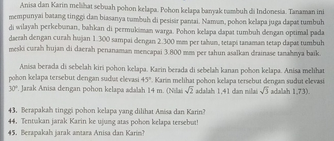 Anisa dan Karin melihat sebuah pohon kelapa. Pohon kelapa banyak tumbuh di Indonesia. Tanaman ini 
mempunyai batang tinggi dan biasanya tumbuh di pesisir pantai. Namun, pohon kelapa juga dapat tumbuh 
di wilayah perkebunan, bahkan di permukiman warga. Pohon kelapa dapat tumbuh dengan optimal pada 
daerah dengan curah hujan 1.300 sampai dengan 2.300 mm per tahun, tetapi tanaman tetap dapat tumbuh 
meski curah hujan di daerah penanaman mencapai 3.800 mm per tahun asalkan drainase tanahnya baik. 
Anisa berada di sebelah kiri pohon kelapa. Karin berada di sebelah kanan pohon kelapa. Anisa melihat 
pohon kelapa tersebut dengan sudut elevasi 45°. Karin melihat pohon kelapa tersebut dengan sudut elevasi
30°. Jarak Anisa dengan pohon kelapa adalah 14 m. (Nilai sqrt(2) adalah 1,41 dan nilai sqrt(3) adalah 1,73). 
43. Berapakah tinggi pohon kelapa yang dilihat Anisa dan Karin? 
44. Tentukan jarak Karin ke ujung atas pohon kelapa tersebut! 
45. Berapakah jarak antara Anisa dan Karin?