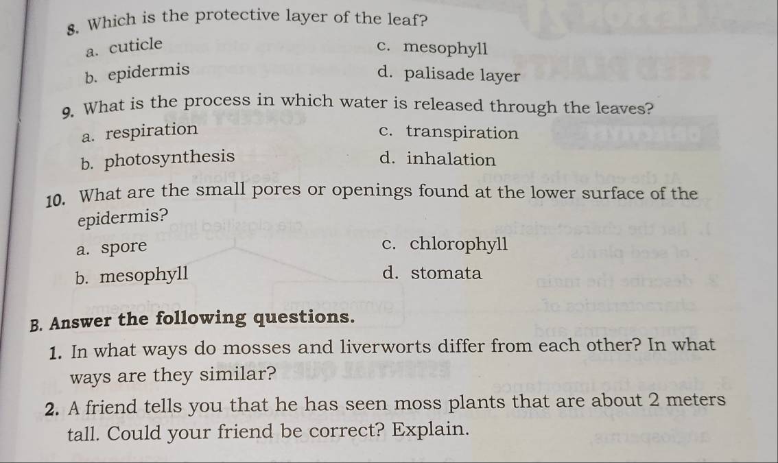 Which is the protective layer of the leaf?
a. cuticle c. mesophyll
b. epidermis d. palisade layer
9. What is the process in which water is released through the leaves?
a. respiration c. transpiration
b. photosynthesis d. inhalation
10. What are the small pores or openings found at the lower surface of the
epidermis?
a. spore
c. chlorophyll
b. mesophyll d. stomata
B. Answer the following questions.
1. In what ways do mosses and liverworts differ from each other? In what
ways are they similar?
2. A friend tells you that he has seen moss plants that are about 2 meters
tall. Could your friend be correct? Explain.