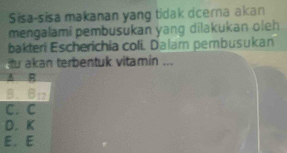 Sisa-sisa makanan yang tidak dcerna akan 
mengalami pembusukan yang dilakukan oleh 
bakteri Escherichia coli. Dalam pembusukan 
u akan terbentuk vitamin ...