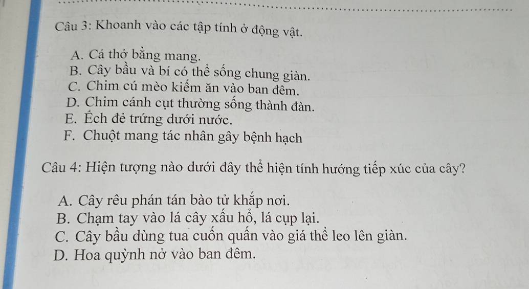 Khoanh vào các tập tính ở động vật.
A. Cá thở bằng mang.
B. Cây bầu và bí có thể sống chung giàn.
C. Chim cú mèo kiểm ăn vào ban đêm.
D. Chim cánh cụt thường sống thành đàn.
E. Ếch đẻ trứng dưới nước.
F. Chuột mang tác nhân gây bệnh hạch
Câu 4: Hiện tượng nào dưới đây thể hiện tính hướng tiếp xúc của cây?
A. Cây rêu phán tán bào tử khắp nơi.
B. Chạm tay vào lá cây xấu hổ, lá cụp lại.
C. Cây bầu dùng tua cuốn quần vào giá thể leo lên giàn.
D. Hoa quỳnh nở vào ban đêm.