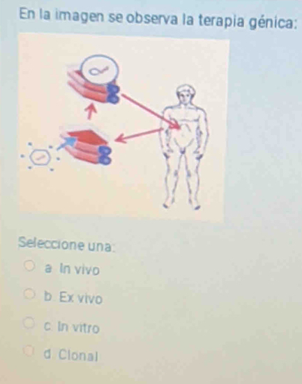 En la imagen se observa la terapia génica:
Seleccione una:
a In vivo
b. Ex vivo
c. In vitro
d Clonal