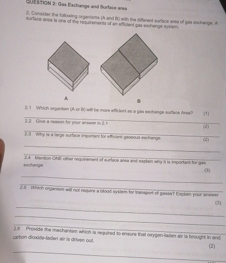 Gas Exchange and Surface area 
2, Consider the following organisms (A and B) with the different surface area of gas exchange. A 
surface area is one of the requirements of an efficient gas exchange system. 
A 
B 
_ 
2.1 Which organism (A or B) will be more efficient as a gas exchange surface Area? (1) 
2.2 Give a reason for your answer in 2.1 
_ 
(2) 
2.3 Why is a large surface important for efficient gaseous exchange (2) 
_ 
_ 
2.4 Mention ONE other requirement of surface area and explain why it is important for gas 
exchange 
(3) 
_ 
_ 
2.5 Which organism will not require a blood system for transport of gases? Explain your answer 
_ 
(3) 
_ 
_ 
2.6 Provide the mechanism which is required to ensure that oxygen-laden air is brought in and 
carbon dioxide-laden air is driven out. 
(2) 
_