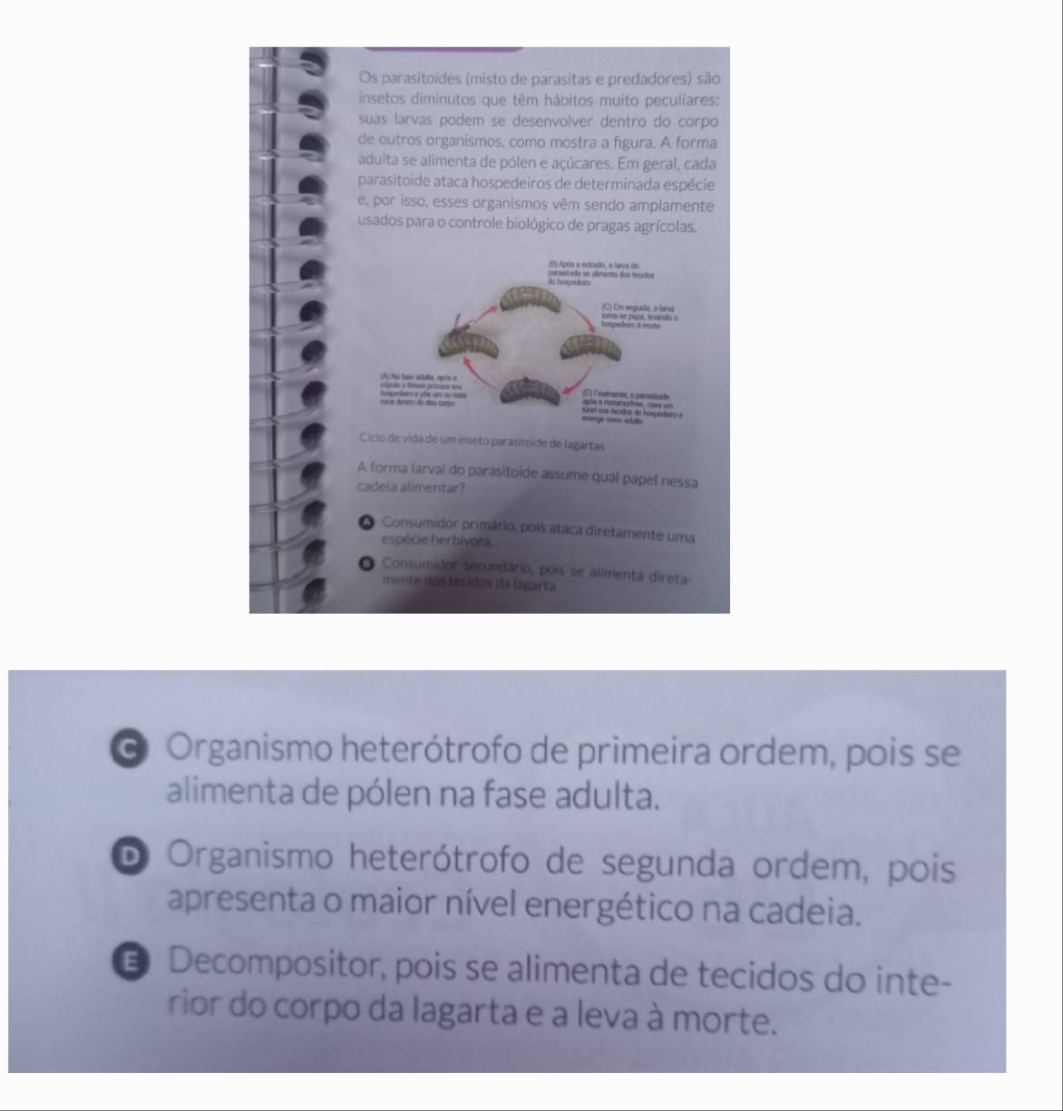 O Organismo heterótrofo de primeira ordem, pois se
alimenta de pólen na fase adulta.
D Organismo heterótrofo de segunda ordem, pois
apresenta o maior nível energético na cadeia.
3 Decompositor, pois se alimenta de tecidos do inte-
rior do corpo da lagarta e a leva à morte.