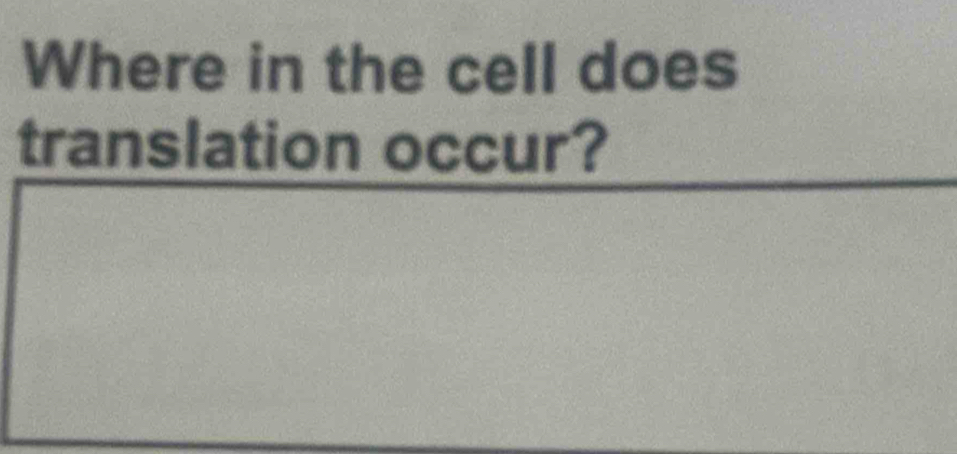 Where in the cell does 
translation occur?