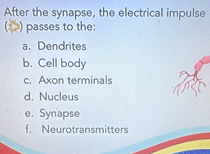 After the synapse, the electrical impulse
passes to the:
L
a. Dendrites
b. Cell body
c. Axon terminals
d. Nucleus
e. Synapse
f. Neurotransmitters