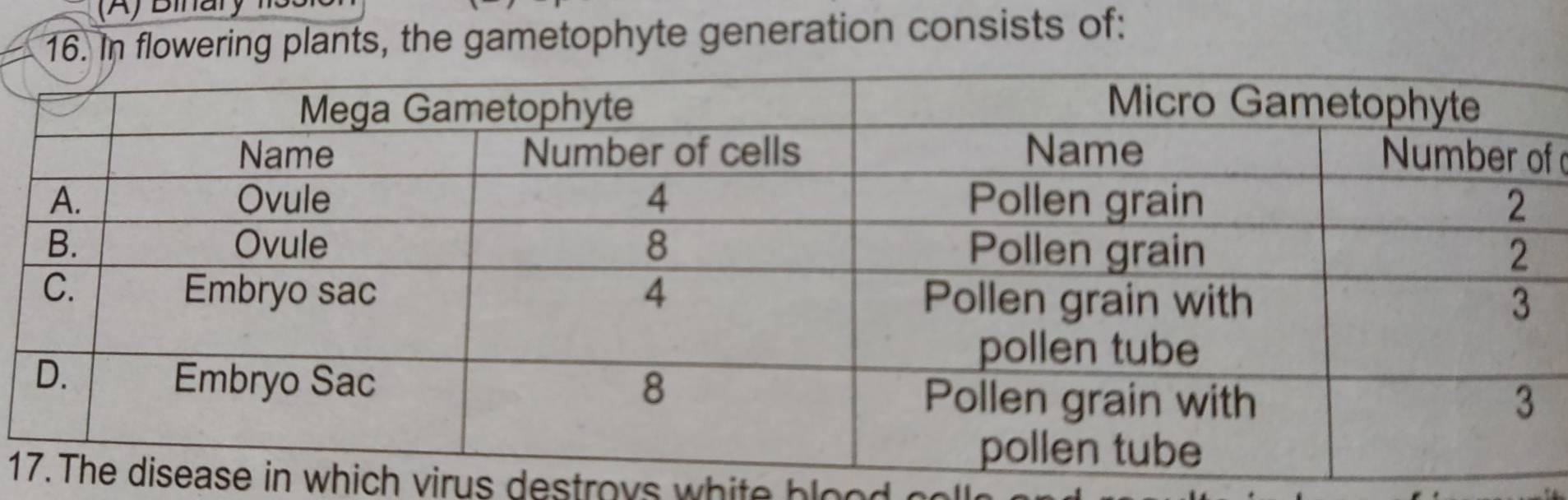 Binary 
16. In flowering plants, the gametophyte generation consists of: 
f 
1in which virus destroys white hlo