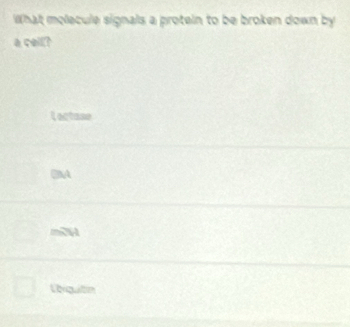 What molecule signals a protein to be broken down by
a cell?
Lectase
ONA
mA
Vbrquitin