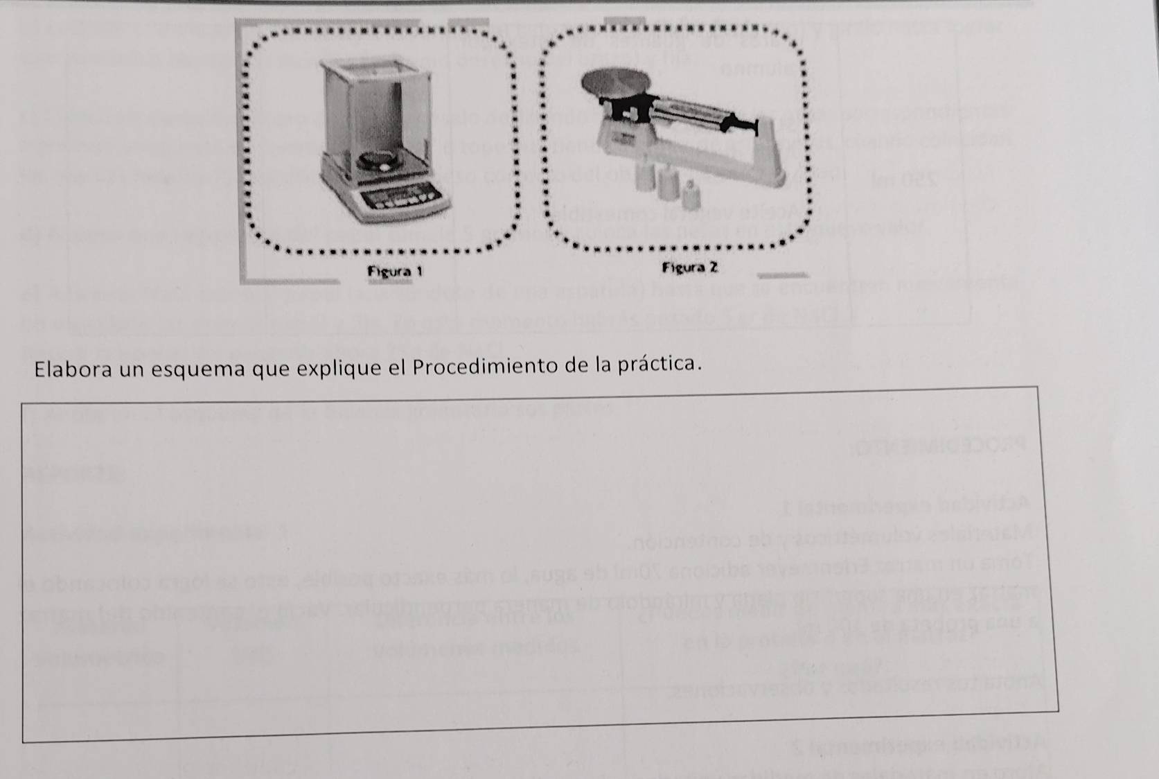 Figura 1 
Elabora un esquema que explique el Procedimiento de la práctica.