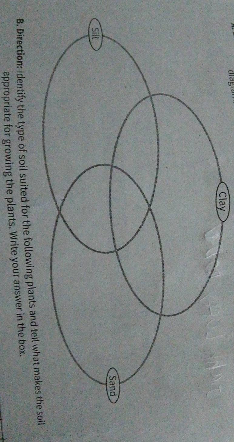 diagran 
B. Direction: Identify the type of soil suited for the following plants and tell what makes the soil 
appropriate for growing the plants. Write your answer in the box.