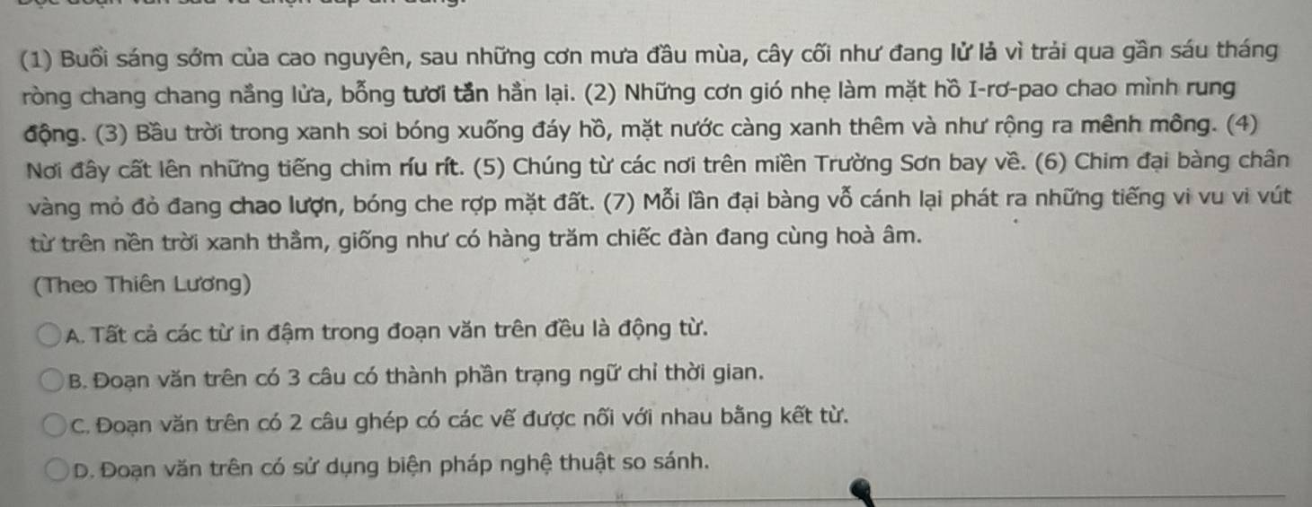 (1) Buổi sáng sớm của cao nguyên, sau những cơn mưa đầu mùa, cây cối như đang lử là vì trải qua gần sáu tháng
ròng chang chang nắng lửa, bỗng tươi tần hằn lại. (2) Những cơn gió nhẹ làm mặt hồ I-rơ-pao chao mình rung
động. (3) Bầu trời trong xanh soi bóng xuống đáy hồ, mặt nước càng xanh thêm và như rộng ra mênh mông. (4)
Nơi đây cất lên những tiếng chim ríu rít. (5) Chúng từ các nơi trên miền Trường Sơn bay về. (6) Chim đại bàng chân
vàng mỏ đỏ đang chao lượn, bóng che rợp mặt đất. (7) Mỗi lần đại bàng vỗ cánh lại phát ra những tiếng vi vu vi vút
từ trên nền trời xanh thầm, giống như có hàng trăm chiếc đàn đang cùng hoà âm.
(Theo Thiên Lương)
A. Tất cả các từ in đậm trong đoạn văn trên đều là động từ.
B. Đoạn văn trên có 3 câu có thành phần trạng ngữ chỉ thời gian.
C. Đoạn văn trên có 2 câu ghép có các vế được nối với nhau bằng kết từ.
D. Đoạn văn trên có sử dụng biện pháp nghệ thuật so sánh.