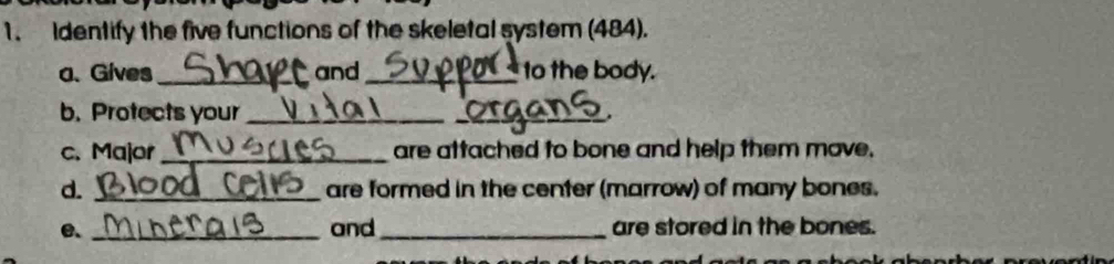 Identify the five functions of the skeletal system (484). 
a、 Gives_ and_ to the body. 
b. Protects your_ 
_ 
c. Major_ are attached to bone and help them move. 
d. _are formed in the center (marrow) of many bones. 
e. _and _are stored in the bones.