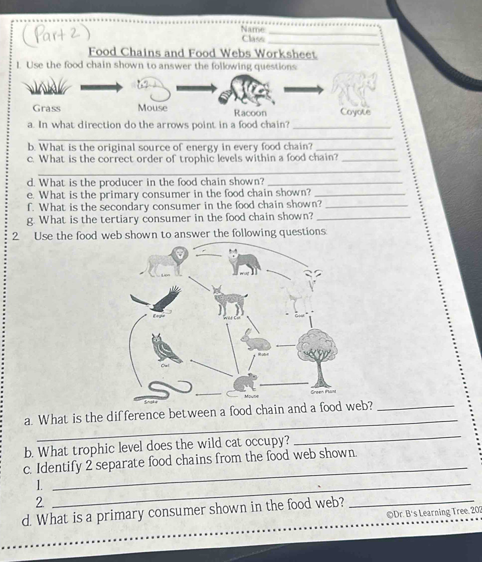 Free Reading Passage: Food Chains and Food Webs PDF by Teach Simple, image size:961x1120