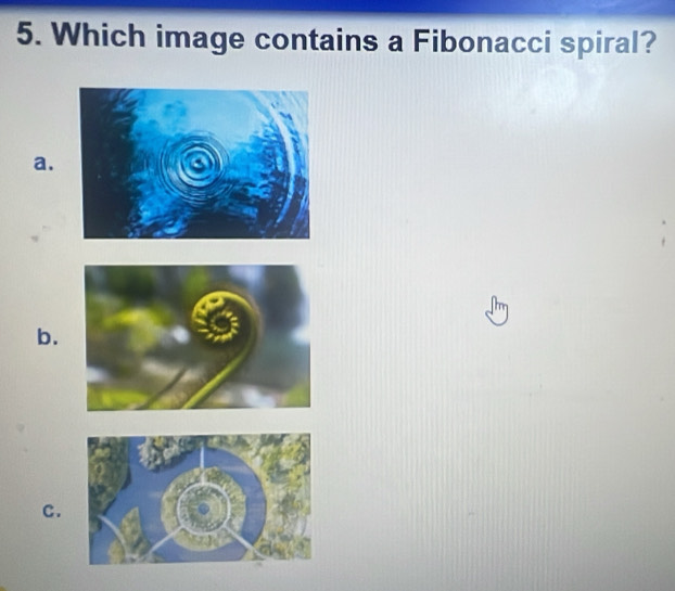 Which image contains a Fibonacci spiral? 
a. 
b. 
C.