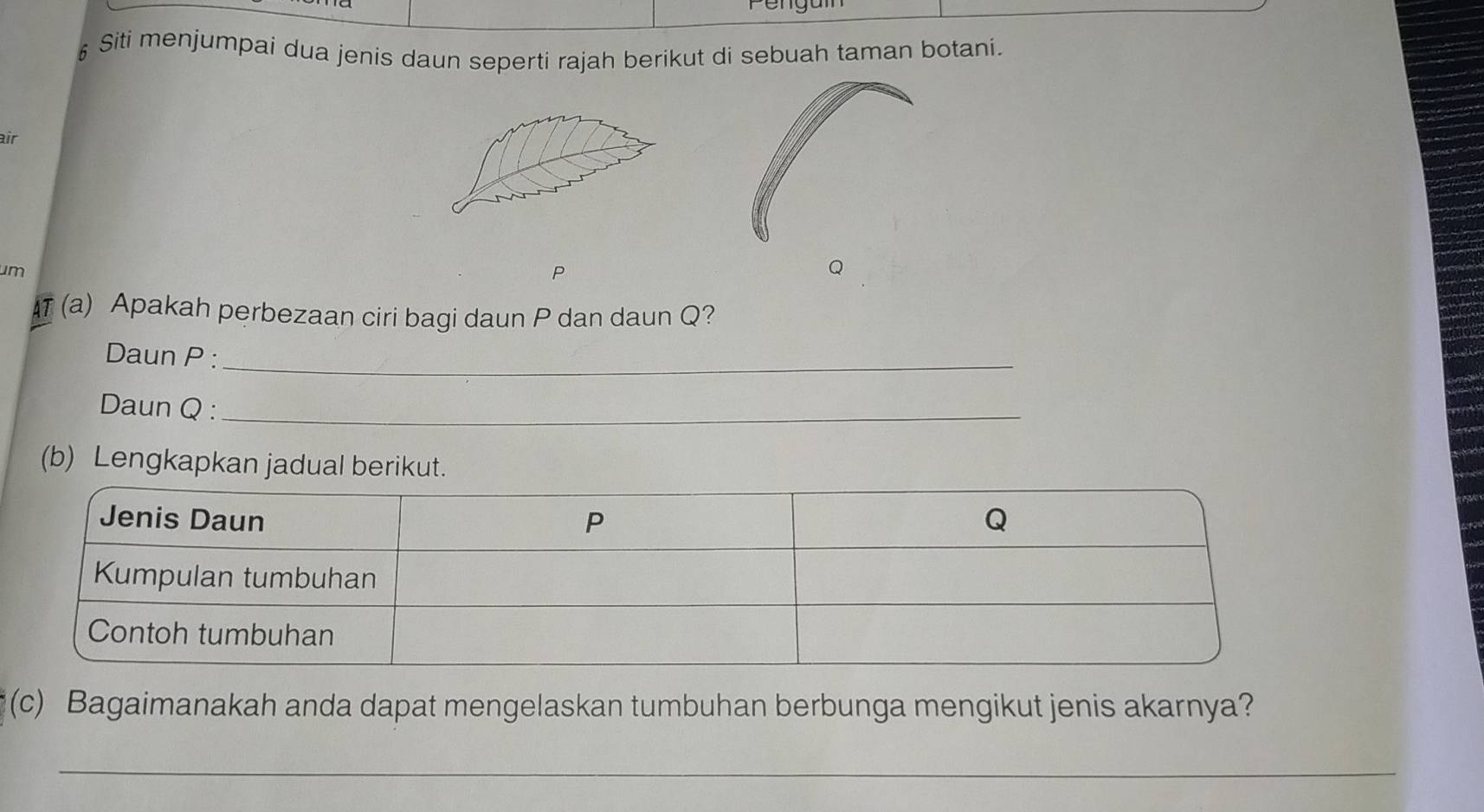 rengam 
6 Siti menjumpai dua jenis daun seperti rajah berikut di sebuah taman botani. 
air 
um
P
Q
T (a) Apakah perbezaan ciri bagi daun P dan daun Q? 
Daun P :_ 
Daun Q :_ 
(b) Lengkapkan jadual berikut. 
(c) Bagaimanakah anda dapat mengelaskan tumbuhan berbunga mengikut jenis akarnya? 
_ 
_