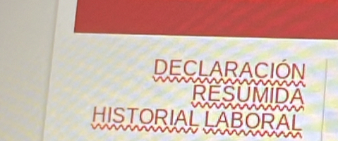 DECLARACIÓN 

RESUMIDA 
HISTORIAL LABORAL