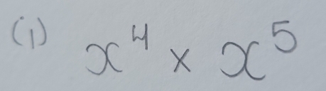 (1) x^4* x^5