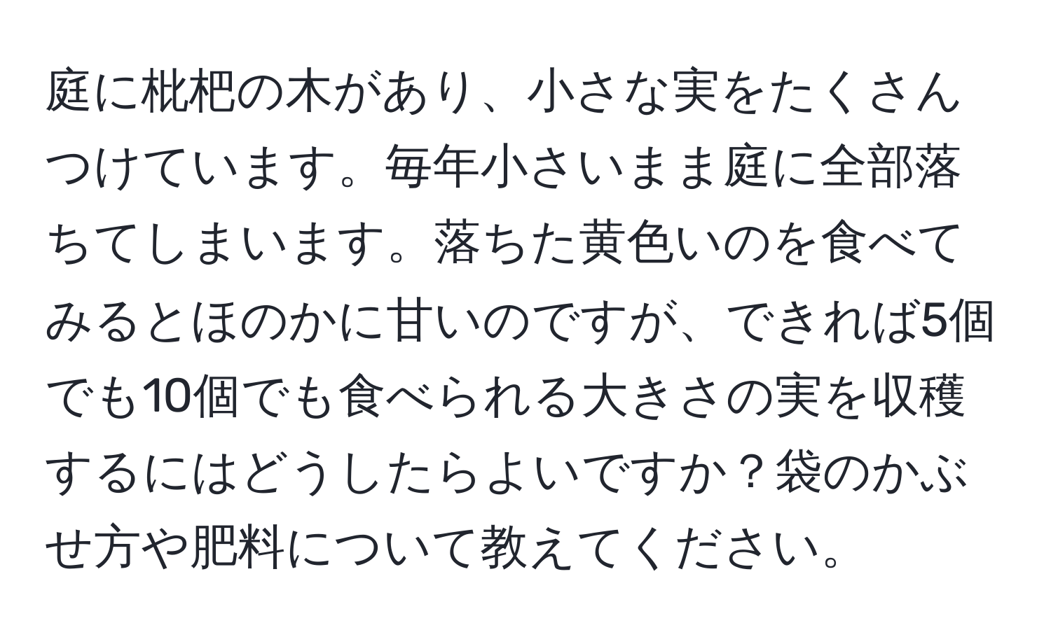 庭に枇杷の木があり、小さな実をたくさんつけています。毎年小さいまま庭に全部落ちてしまいます。落ちた黄色いのを食べてみるとほのかに甘いのですが、できれば5個でも10個でも食べられる大きさの実を収穫するにはどうしたらよいですか？袋のかぶせ方や肥料について教えてください。