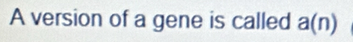 A version of a gene is called a(n)