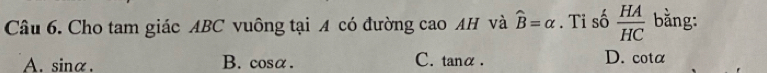 Cho tam giác ABC vuông tại A có đường cao AH và widehat B=alpha. Tỉ số  HA/HC  bằng:
A. sinα. B. cosα. C. tanα. D. cota