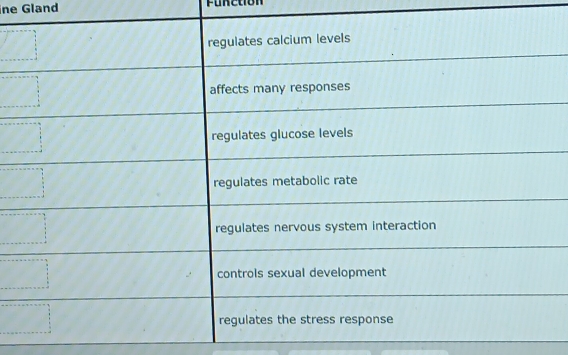 ne Gland Function