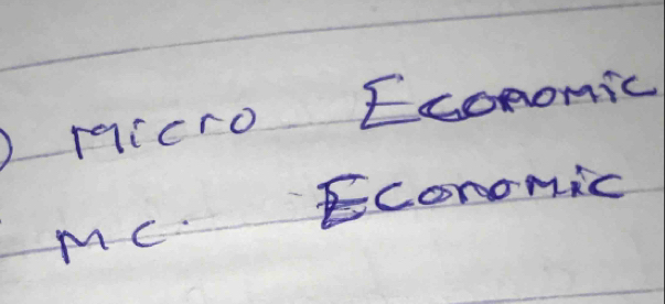 rqicro Economic 
Economic 
MC.