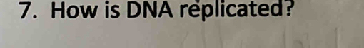 How is DNA replicated?