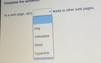 Complete the sentence.
In a web page, a(n) leads to other web pages.
img
metadata
head
hyperlink