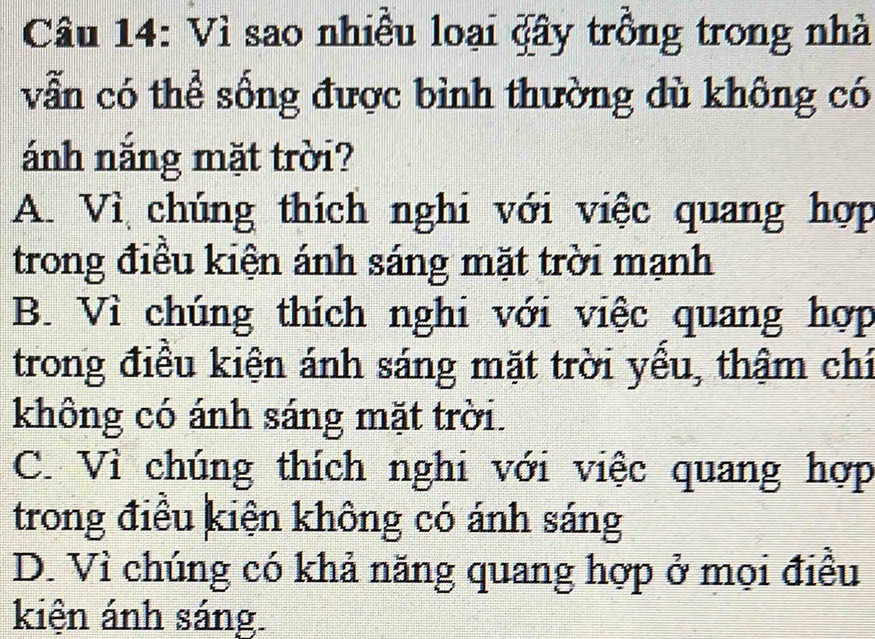 Vì sao nhiều loại đây trồng trong nhà
vẫn có thể sống được bình thường dù không có
ánh nắng mặt trời?
A. Vì chúng thích nghi với việc quang hợp
trong điều kiện ánh sáng mặt trời mạnh
B. Vì chúng thích nghi với việc quang hợp
trong điều kiện ánh sáng mặt trời yều, thậm chí
không có ánh sáng mặt trời.
C. Vì chúng thích nghi với việc quang hợp
trong điều kiện không có ánh sáng
D. Vì chúng có khả năng quang hợp ở mọi điều
kiện ánh sáng