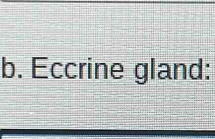 Eccrine gland: